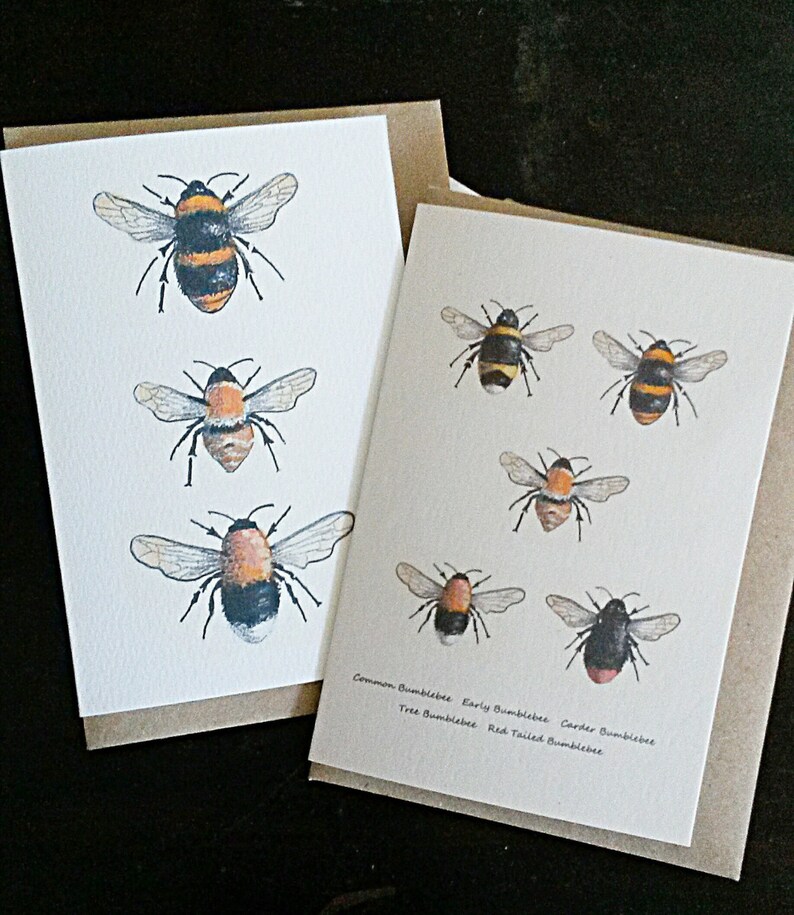 bumblebee-cards-british-bumblebees-hand-painted-bee-card-etsy