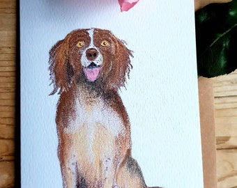 Spaniel card. English springer spaniel. Card with a spaniel. Spaniel greeting card. Card with a dog. Spaniel birthday card. Spaniel present