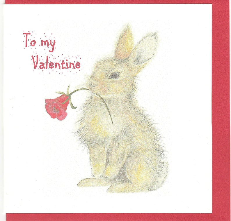 Bunny Valentine card. Funny Valentine card. bunny funny card. rabbit valentine card. humourous valentine image 1