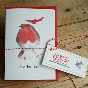 Carte de Noël Robin. Robin peint à la main en chapeau de Père Noël. Drôle de carte de Noël. Carte de Noël de la faune. Carte de Noël Oiseau