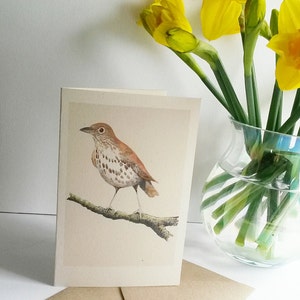 Grive musicienne imprimée sur carte recyclée avec une enveloppe recyclée. Peint à la main à l'origine à l'aquarelle. Aquarelle de muguet. Carte Oiseau de jardin