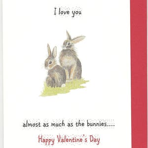Hase-Valentinstag-Karte. Witzige Karte zum Valentinstag. Kaninchen lustige Karte. Kaninchen-Valentinstagskarte. humorvoller Valentinsgruß. witzige Hasenkarte. Romantische Karte