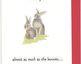 Bunny Valentine card. Funny Valentine card. rabbit funny card. rabbit valentine card. humourous valentine. funny bunny card. romantic card