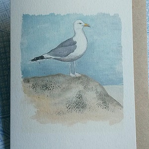 Herring Gull Card. Sea bird card. Bird card. Norfolk. Seaside. Nautical. Seagull card. British bird. Recycled card