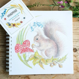 Könnte beinhalten: Eine handgezeichnete Illustration eines roten Eichhörnchens, das auf einem Bett aus grünen Blättern sitzt und eine Nuss isst. Das Eichhörnchen ist umgeben von Glockenblumen, Pilzen und Eicheln. Die Illustration ist von einem Kreis aus grünen Blättern umrahmt.