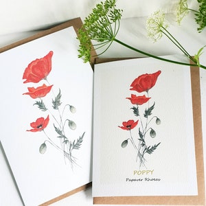 Poppy card. Poppy watercolour card. Card with a poppy. Poppy gift. Poppy present. Red poppy. Wild poppy. Red poppy card. Wild flower card.