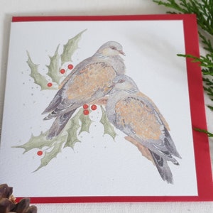 Schildpad duif kerstkaart. De kaart van Kerstmis met een schildpadduif. Duivenkaart. Kerstmis. Enkele kaart