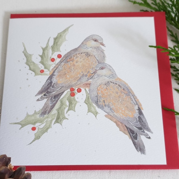 Turtle dove Christmas card. Christmas card with a turtle dove. Dove card. Christmas. Single card