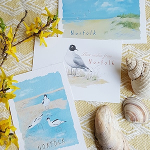 Cartes postales de Norfolk. Cartes postales de Norfolk. images de Norfolk. Oiseau de mer de Norfolk. Carte postale de la plage de Norfolk. Carte postale d’oiseau de mer. carte postale de bord de mer