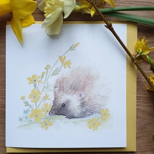 Carte hérisson. Hérisson avec des fleurs printanières. Cadeau hérisson. Hérisson présent. Hérisson et primevère