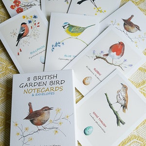 Cartes pour oiseaux de jardin britanniques. Huit cartes avec des oiseaux britanniques et leur œuf. cartes oiseaux et oeufs. cadeau d'oiseau. cartes oiseaux.nature