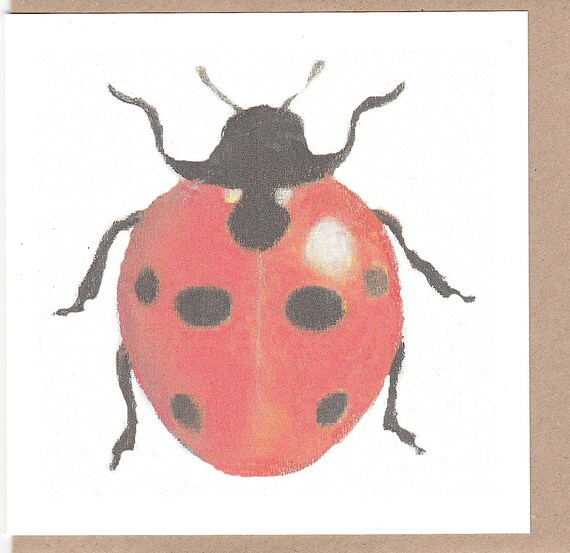 Carte Coccinelle Aquarelle De Coccinelle Carte Avec Une Etsy Carte Coccinelle Aquarelle De Coccinelle Carte Avec Une Etsy