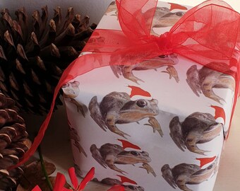 Frog Christmas wrapping paper. Frog paper. Wrapping paper with a frog. Frog gift. Frog present. Frog gift wrap. Frog drawing