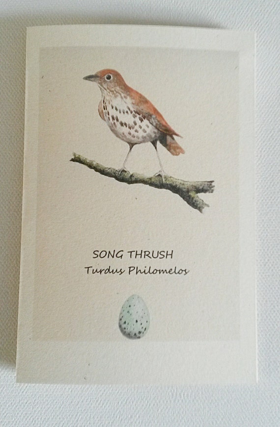 Thrush card deals
