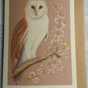 Schleiereule. Original handbemalt. Recycelte Karte. britischer Vogel. Greifvogel. Norfolk. Schleiereule Karte. Schleiereule Geschenk. Schleiereule vorhanden. Eule