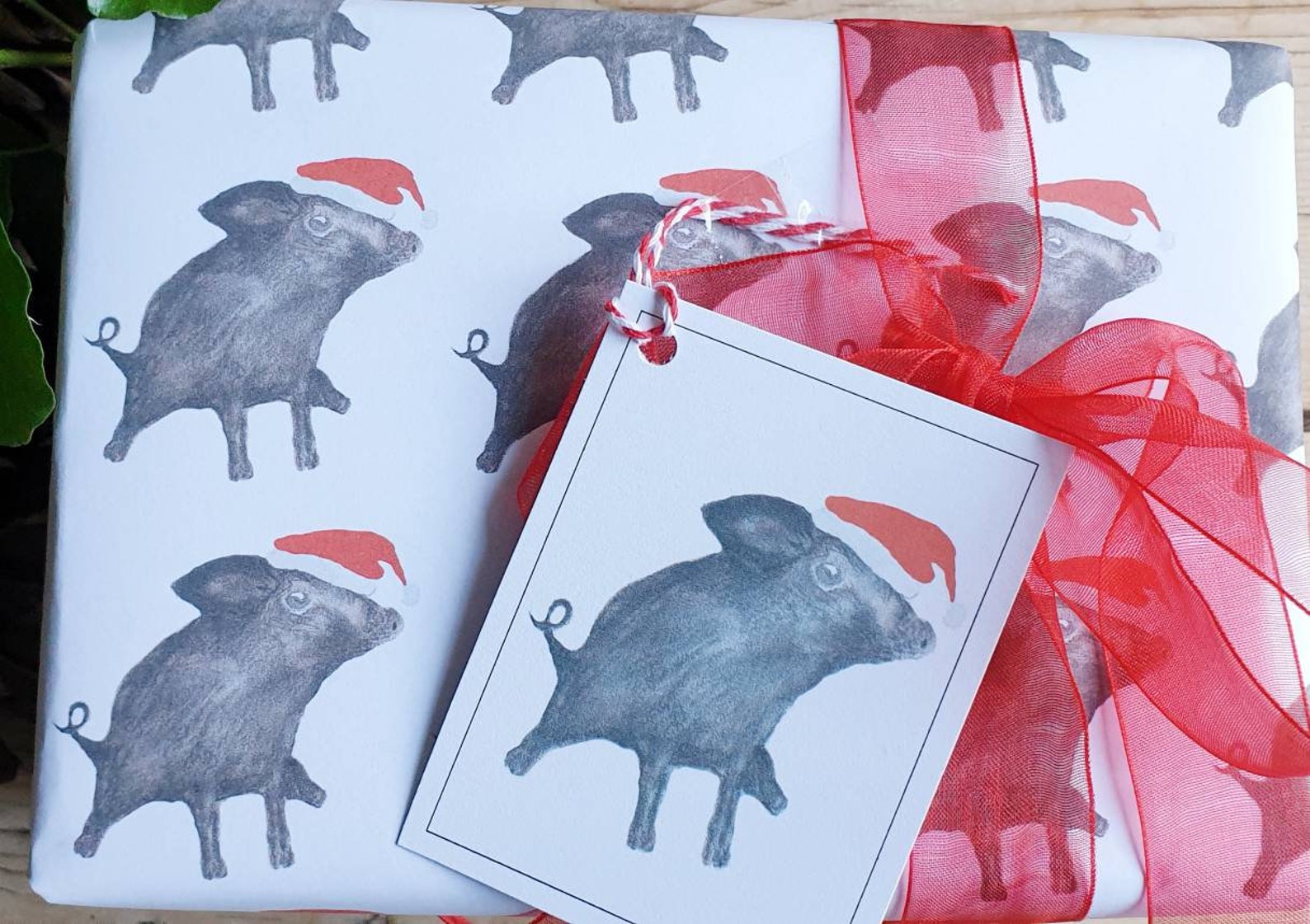 Pig Christmas Wrapping Paper 