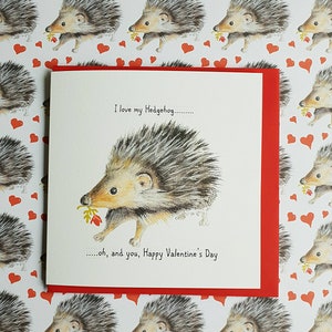 Igel Valentinskarte. Igel Valentinsgeschenk. Igel vorhanden. Igelbild. Igel Zeichnung. Tierkarte. Wildtierkarte