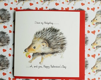 Hedgehog Valentine card. hedgehog Valentine gift. hedgehog present. hedgehog image. hedgehog drawing.  animal card. wildlife card