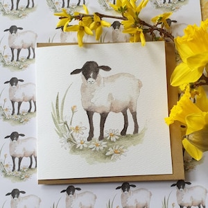 Schaf Karte. . Schafe und Gänseblümchen lustige Schafe Karte. Schaf Geschenk. Schafe vorhanden. Geschenk für Schafliebhaber. Bauernhof