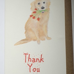 Dankeskarten. Retriever Dankeskarte. Danke von meinem Retriever. Vielen Dank. Hund Dankeskarte. Golden Retriever