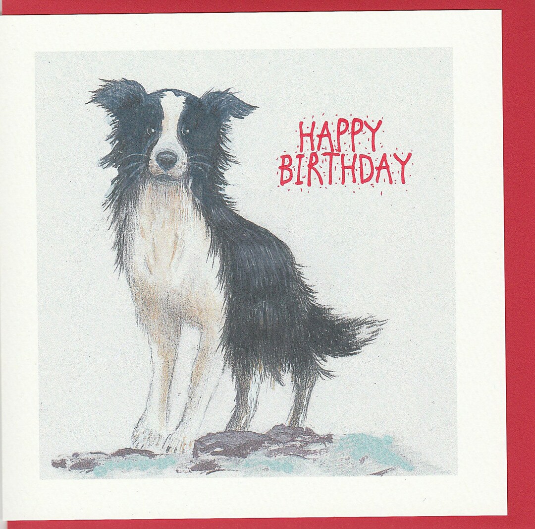 Border Collie Birthday Card. Card With a Border Terrier On. Birthday ...