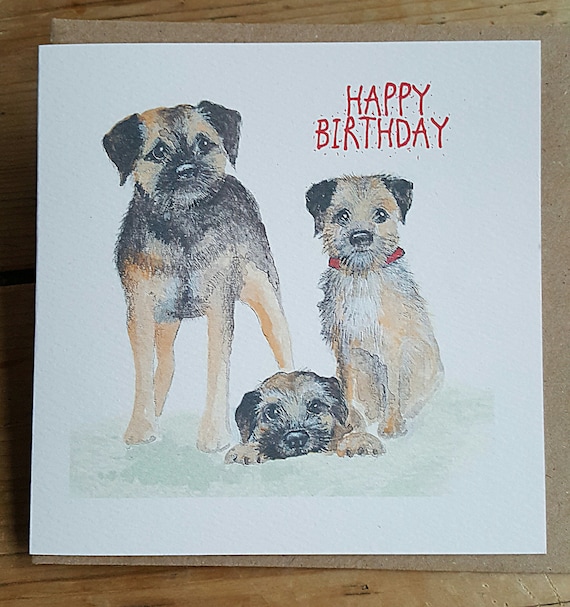 border terrier birthday