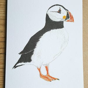 Puffin card. Originally hand painted. Seabird card. Skomer Island bird.  Shetland bird. card with a puffin. puffin watercolour. puffin gift