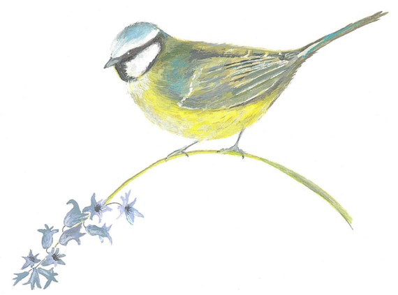Geburtstagskarte Blaumeise – 15x15 Cm, Aquarell-Design, Auf Strukturiertem Karton, Mit Weißem Umschlag