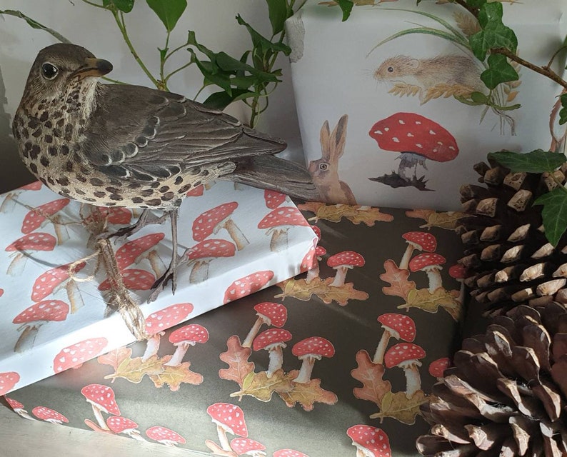 K&ouml;nnte beinhalten: Nahaufnahme von drei verschiedenen Geschenkpapierdesigns mit Waldtieren und Pilzen. Die Designs sind auf wei&szlig;em und gr&uuml;nem Papier gedruckt.
