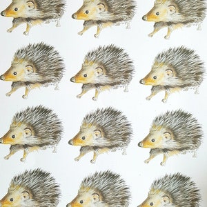 Hedgehog wrapping paper. gift wrap and tags with hedgehog. hedgehog painting. wildlife wrapping paper. paper with a hedgehog. birthday paper