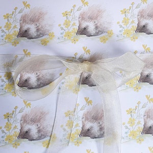 Hedgehog wrapping paper. Hedgehog gift wrap. Paper with a hedgehog. Hedgehog gift. Hedgehog present.