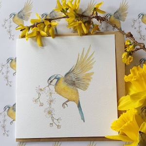 Carte de mésange bleue. Carte aquarelle de mésange bleue. Carte d’oiseau britannique. Mésange bleue et marguerites. Mésange bleue aquarelle. Carte avec une mésange bleue.
