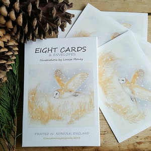 Pacote de notecards de coruja de celeiro. Presente de coruja. Coruja presente. Vários pacotes de cartas de coruja. Presente de pássaro britânico. Coruja de celeiro de Natal. Coruja na neve. Norfolk