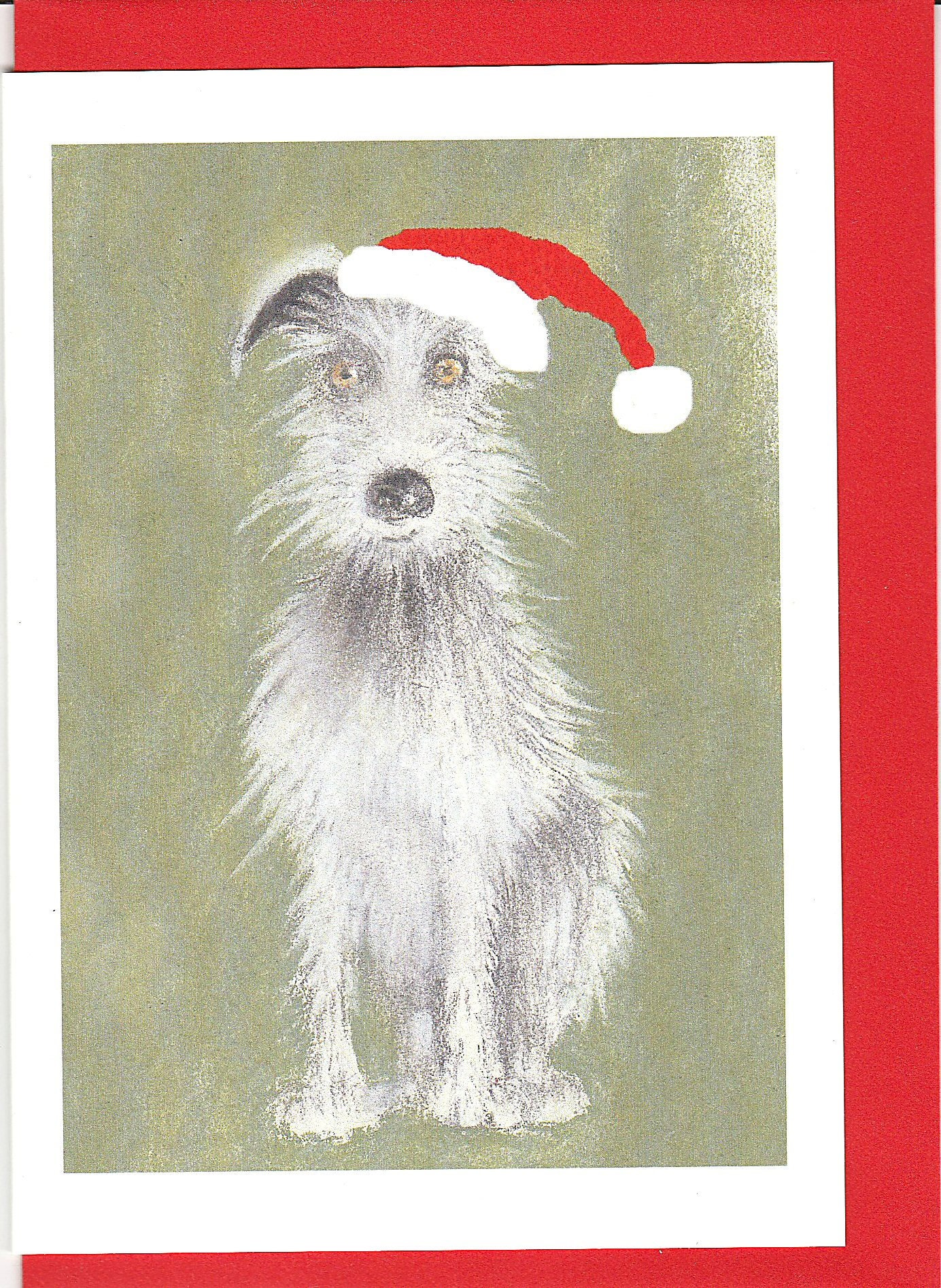 Image of Shaggy dog with a Santa hat