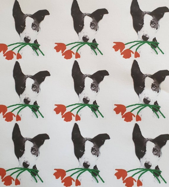 Short Haired Border Collie Valentine Wrapping Paper. Collie - Etsy