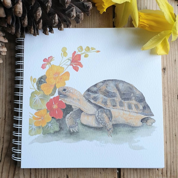 Tortoise Gifts 60+ Gift Ideas for 2023