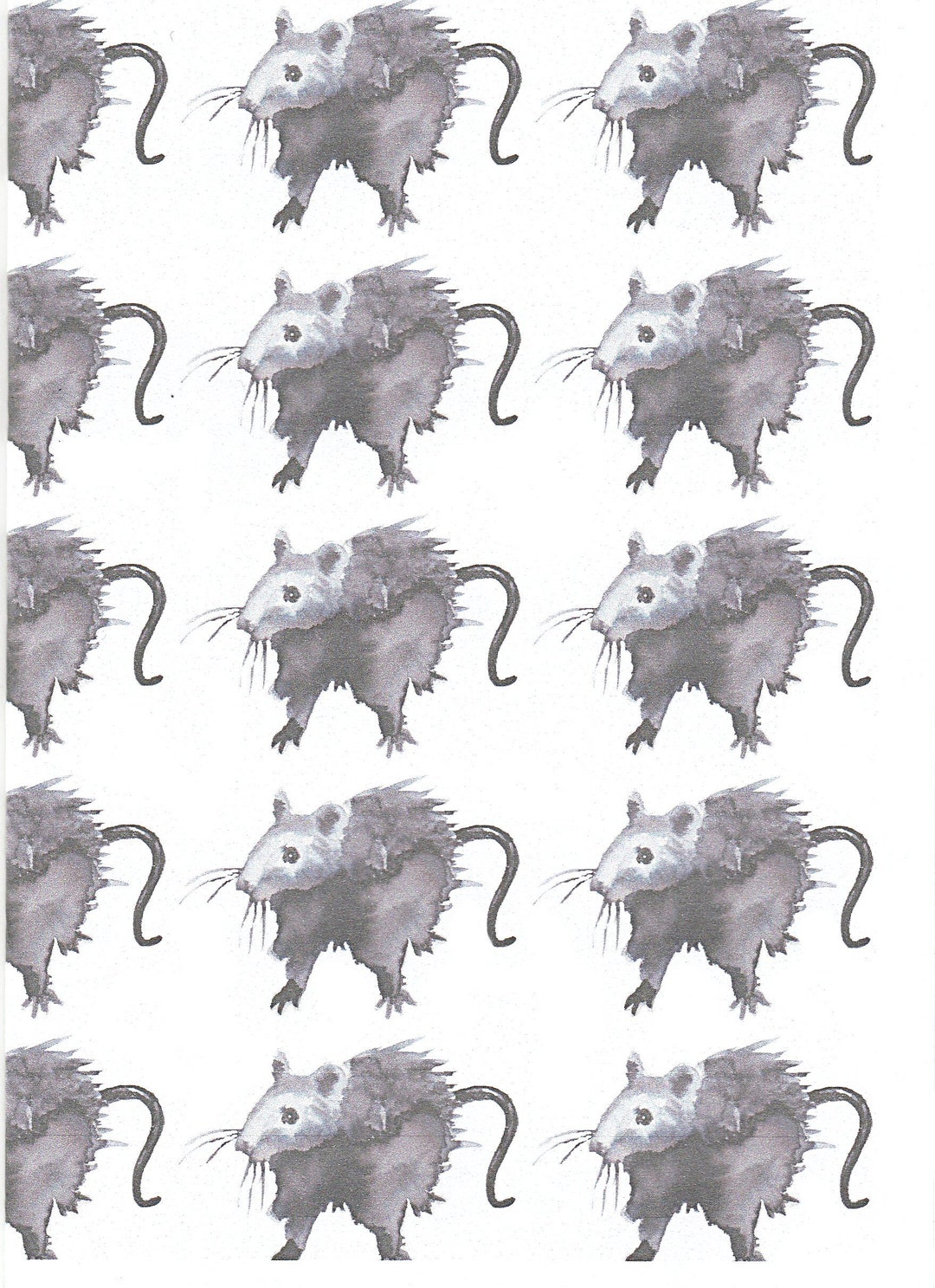 Rat Wrapping Paper. Gift Wrap and Tags With a Rat. Rat Painting. Rat