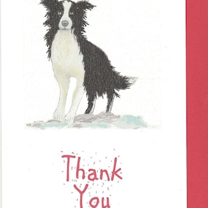 Border Collie Dankeskarte. Dankeskarte mit Border Collie. Dankeschön-Karte. handgemacht Karte. Originalkunstwerk. Schäferhund Karte