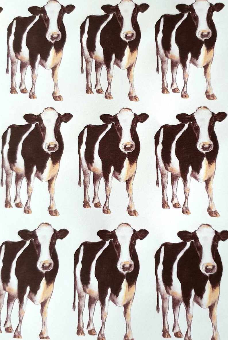 Puede incluir: Un patr&oacute;n repetido de nueve vacas blancas y negras con manchas marrones. Las vacas est&aacute;n de frente y tienen la cara blanca con manchas negras. El fondo es blanco.
