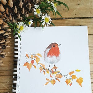 Könnte beinhalten: Ein Aquarellbild eines Rotkehlchens, das auf einem Zweig mit orangefarbenen Blättern sitzt. Das Rotkehlchen ist rot, weiß und grau. Der Hintergrund ist weiß.