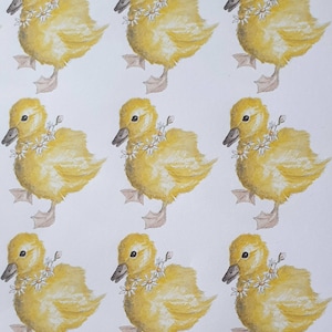 Easter Chicks Pastel Recyclable Wrapping Paper, Baby's First Easter Gift  Wrap 