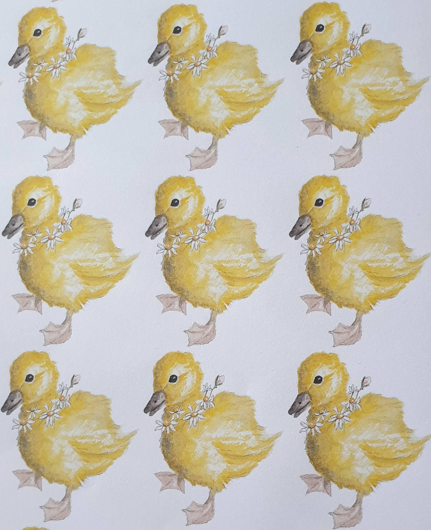 Marcas - Duck Paper - Papelaria Online