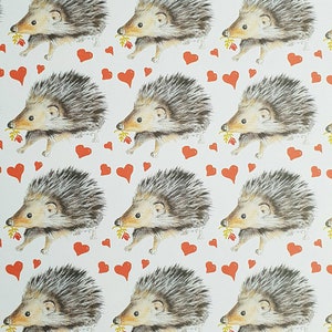 Hedgehog Valentine wrapping paper.  Hedgehog valentine paper. valentine paper with a hedgehog. funny hedgehog wrap. romantic. love