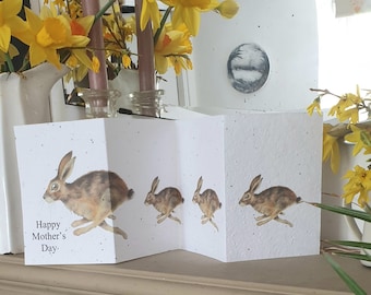 Hare Mother's Day seed card. Concertina card. Plantable seed card. Mother's Day card and gift in one. Flower card. Flower seed card. Mum