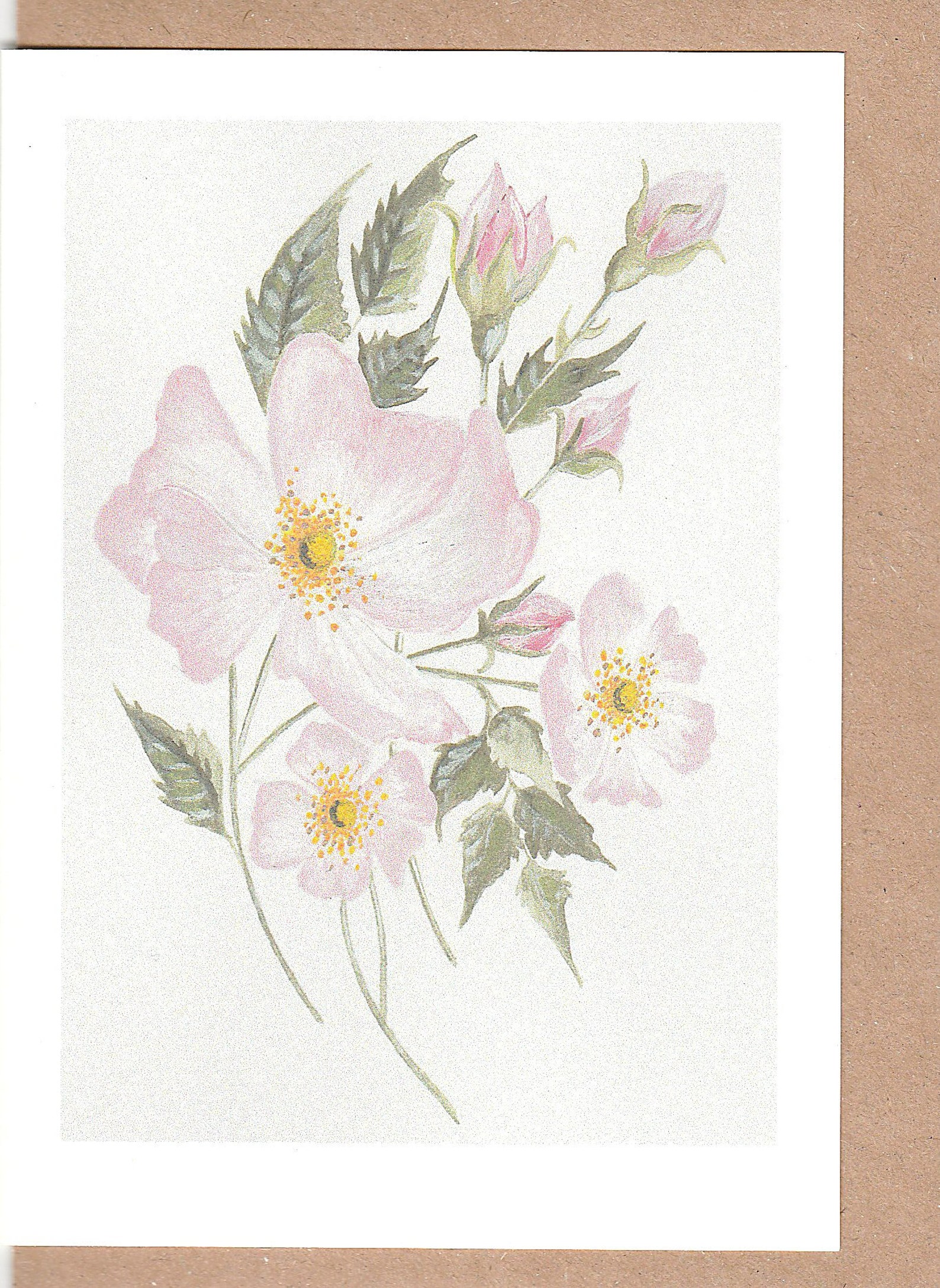 Wild Rose Card. Wild Rose Painting. Wild Flower Card. Card With Wild ...