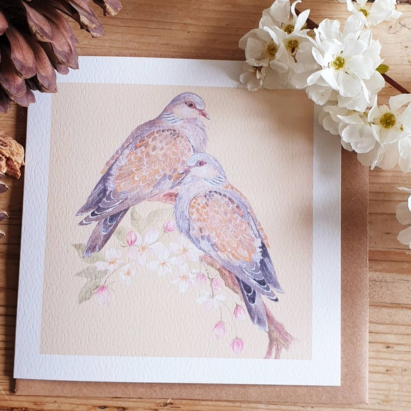 Turtle dove card. Card with a turtle dove. Turtle dove watercolour. Dove watercolour. Dove card. Bird card. Romantic card. Turtle dove