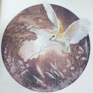 Carte de hibou. Aquarelle peinte à la main à l'origine. Aquarelle de chouette effraie des clochers. Carte d'oiseau. Carte avec un hibou. carte d'oiseau. peinture d'oiseau. Art de la chouette effraie des clochers.