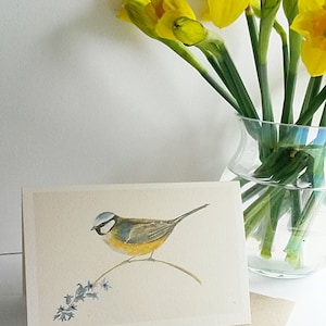 Image peinte à la main d’une mésange bleue sur une jacinthe, imprimée sur une carte recyclée de qualité avec enveloppe recyclée