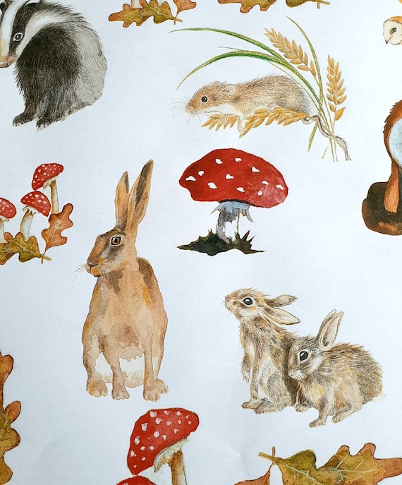 Woodland wrapping paper. Red squirrel gift wrap. wildlife gift. woodland  gift. Badger, hares, bunnies, owls, toadstools. Mixed animal paper