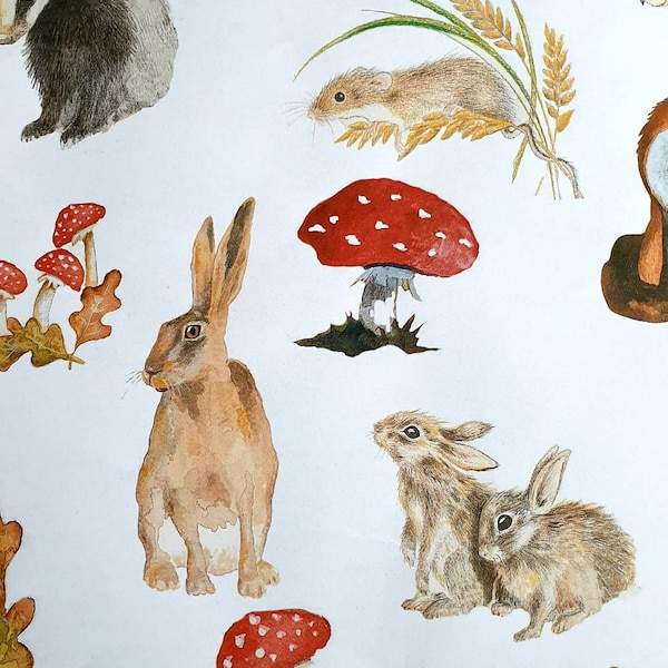 Woodland wrapping paper. Red squirrel gift wrap. wildlife gift. woodland gift. Badger, hares, bunnies, owls, toadstools. Mixed animal paper